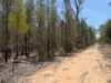 50, Kimberley Drive, Cypress Gardens, Qld 4357-Image