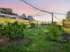 500 Glendale Lane, Taggerty, Vic 3714-Image