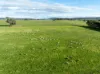 501, Mandagery NSW 2870-Image