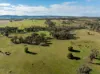 501, Mandagery NSW 2870-Image