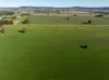 501, Mandagery NSW 2870-Image