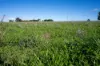 501, Mandagery NSW 2870-Image