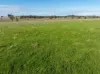 501, Mandagery NSW 2870-Image