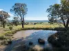 501, Mandagery NSW 2870-Image