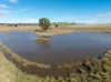 501, Mandagery NSW 2870-Image