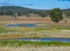 501, Mandagery NSW 2870-Image