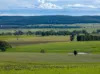 501, Mandagery NSW 2870-Image