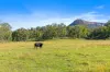 505 Genowlan Road, Glen Alice, NSW 2849-Image