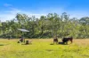505 Genowlan Road, Glen Alice, NSW 2849-Image