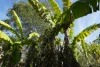 506 Old Lawrence Rd ( Via Cherry Tree ), Deep Creek, NSW 2469-Image