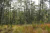 506 Old Lawrence Rd ( Via Cherry Tree ), Deep Creek, NSW 2469-Image