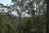 506 Old Lawrence Rd ( Via Cherry Tree ), Deep Creek, NSW 2469-Image