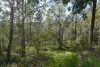 506 Old Lawrence Rd ( Via Cherry Tree ), Deep Creek, NSW 2469-Image