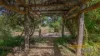 508 Yarrabin Road, Mudgee, NSW 2850-Image