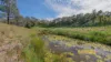 508 Yarrabin Road, Mudgee, NSW 2850-Image