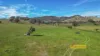 508 Yarrabin Road, Mudgee, NSW 2850-Image
