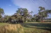 50R Old Mendooran Road, Dubbo, NSW 2830-Image