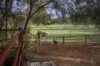 50R Old Mendooran Road, Dubbo, NSW 2830-Image