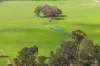 51-53 Palmer Road, Neilborough, Vic 3570-Image