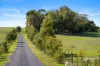 51 Stevenson Road, Suttontown, SA 5291-Image