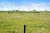 51 Stevenson Road, Suttontown, SA 5291-Image