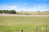 51 Stevenson Road, Suttontown, SA 5291-Image