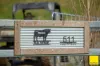 511 Whisky Creek Road, Dorrigo NSW 2453-Image