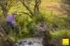 511 Whisky Creek Road, Dorrigo NSW 2453-Image