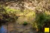 511 Whisky Creek Road, Dorrigo NSW 2453-Image