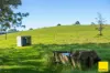 511 Whisky Creek Road, Dorrigo NSW 2453-Image
