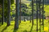 511 Whisky Creek Road, Dorrigo NSW 2453-Image