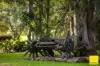 511 Whisky Creek Road, Dorrigo NSW 2453-Image