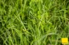 511 Whisky Creek Road, Dorrigo NSW 2453-Image