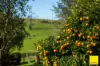 511 Whisky Creek Road, Dorrigo NSW 2453-Image