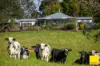 511 Whisky Creek Road, Dorrigo NSW 2453-Image