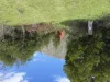 5140 Bonang Road, Nurran, Vic 3888
