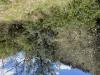5140 Bonang Road, Nurran, Vic 3888-Image