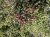 5140 Bonang Road, Nurran, Vic 3888-Image