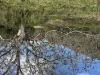 5140 Bonang Road, Nurran, Vic 3888-Image