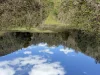 5140 Bonang Road, Nurran, Vic 3888-Image