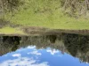 5140 Bonang Road, Nurran, Vic 3888-Image