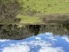 5140 Bonang Road, Nurran, Vic 3888-Image