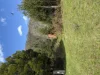 5140 Bonang Road, Nurran, Vic 3888-Image