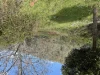 5140 Bonang Road, Nurran, Vic 3888-Image
