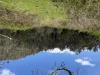 5140 Bonang Road, Nurran, Vic 3888-Image