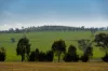 5162 Cargo Road, Canowindra, NSW 2804-Image