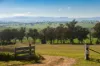 5162 Cargo Road, Canowindra, NSW 2804-Image