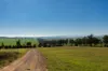 5162 Cargo Road, Canowindra, NSW 2804-Image