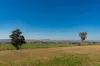 5162 Cargo Road, Canowindra, NSW 2804-Image