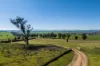 5162 Cargo Road, Canowindra, NSW 2804-Image